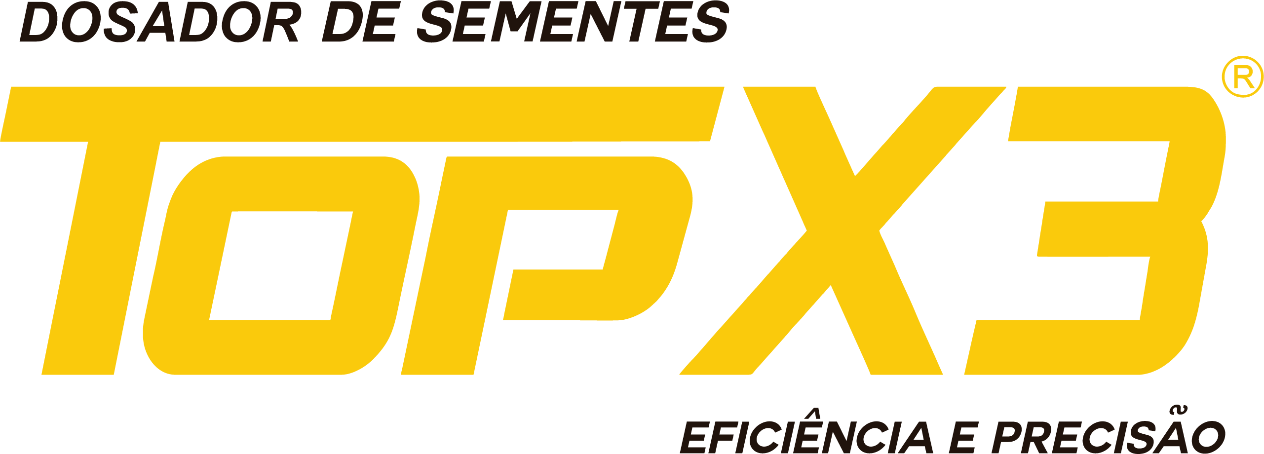 Logo TOP X3